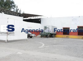 Rostro municipal  - ES imagen agencia de fotografía