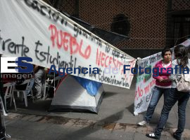 Frente Estudiantil por una Educación para Todos - ES imagen agencia de fotografía