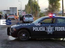 Realiza operativo PF y SAT - ES imagen agencia de fotografía