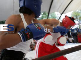 Torneo de los barrios de Box  - ES imagen agencia de fotografía