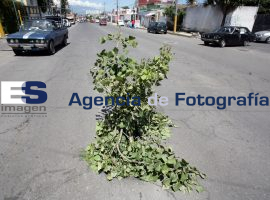 Bache Avenida Margaritas - ES imagen agencia de fotografía