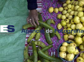 Mercado de Trueque San Pedro Cholula - ES imagen agencia de fotografía