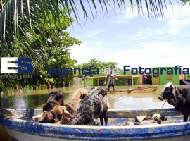 Inundaciones Tlacotalpan Veracruz - ES imagen agencia de fotografía