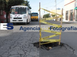 Bache en la ciudad - ES imagen agencia de fotografía