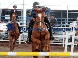 Participa Policía Estatal Montada en Encuentro Mundial Ecuestre - ES imagen agencia de fotografía
