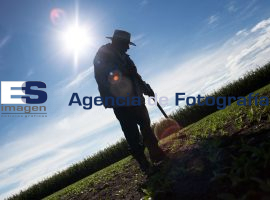 Vida cotidiana  - ES imagen agencia de fotografía