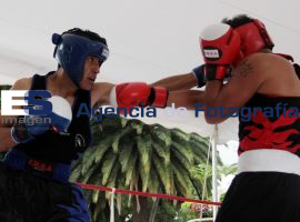 Llega la final del Torneo de Barros de Box - ES imagen agencia de fotografía