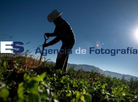 Vida cotidiana  - ES imagen agencia de fotografía