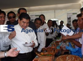 Mario Marín Encuentro Seguridad Alimentaria - ES imagen agencia de fotografía