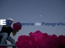 Mercado de Flores Atlixco - ES imagen agencia de fotografía