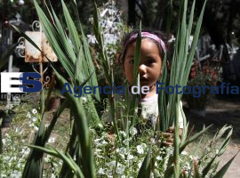 Poblanos visitan a sus Difuntos en Todos Santos - ES imagen agencia de fotografía