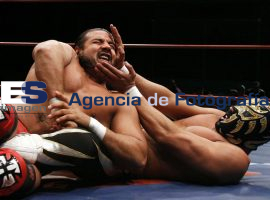 Lucha Estelar de Relevos Arena Puebla - ES imagen agencia de fotografía