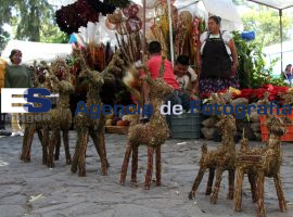 Comienza la Venta de Artículos Navideños - ES imagen agencia de fotografía