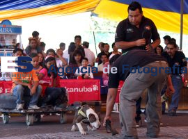 4a Feria de la Mascota - ES imagen agencia de fotografía