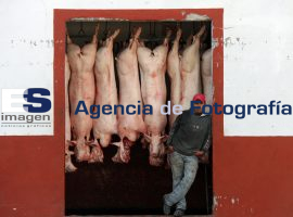 Aumentan las Ventas de Carne en el Rastro Municipal - ES imagen agencia de fotografía
