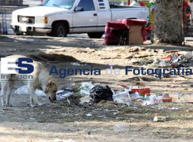 Montones de Basura en las Calles tras Festejos de Nochebuena - ES imagen agencia de fotografía