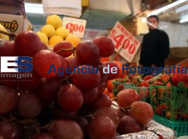 Elevado el precio de la Uva - ES imagen agencia de fotografía