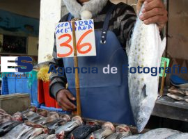 Venta de Pescados y Mariscos - ES imagen agencia de fotografía