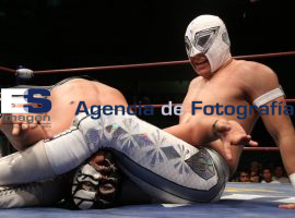 Técnicos Obtienen Campeonato Nacional de Tríos en la Arena Puebla - ES imagen agencia de fotografía
