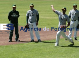 Entrenamiento Pericos  - ES imagen agencia de fotografía