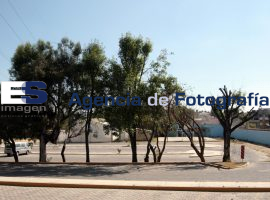 Inicia huelga en Colegio de Posgraduados  - ES imagen agencia de fotografía
