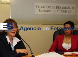 Comisión de Desarrollo Económico y Turismo - ES imagen agencia de fotografía