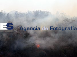 Fallece una persona en incendio forestal - ES imagen agencia de fotografía