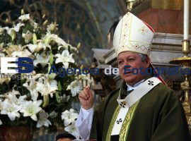 Misa en Honor a San Juan Bosco - ES imagen agencia de fotografía