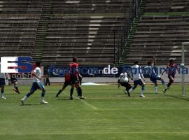 Lobos VS Tiburones - ES imagen agencia de fotografía