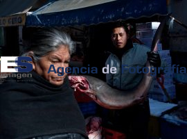 Viernes de Cuaresma  - ES imagen agencia de fotografía