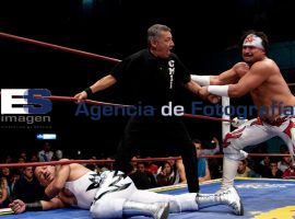 Luchas  - ES imagen agencia de fotografía
