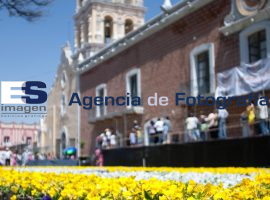 Feria de las Flores en Atlixco  - ES imagen agencia de fotografía