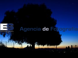 Inicia la primavera  - ES imagen agencia de fotografía