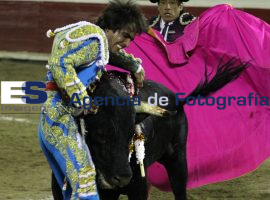 Embiste toro a Arturo Macias El Cejas - ES imagen agencia de fotografía