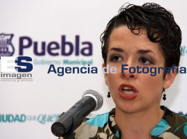 Intensificarán Campaña de Vacunación Canina y Gatuna - ES imagen agencia de fotografía