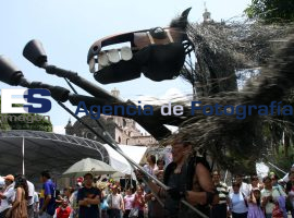 Caballos de Menorca, Festival Palafoxiano - ES imagen agencia de fotografía