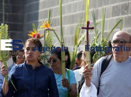Misa en Celebración del Domingo de Ramos - ES imagen agencia de fotografía
