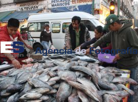 PROFECO Verifica Pescaderias - ES imagen agencia de fotografía