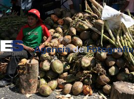Vendedores de Coco y Caña - ES imagen agencia de fotografía