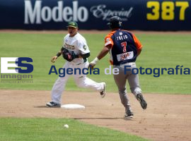 Pericos Vence a Tigres en el Tercer Partido de la Serie - ES imagen agencia de fotografía
