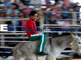 Monta de Burros  - ES imagen agencia de fotografía