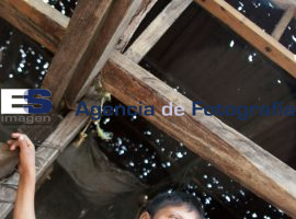 Daños por granizada en San Mateo Ozolco - ES imagen agencia de fotografía