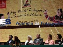setep - ES imagen agencia de fotografía