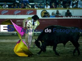 Novillada de Feria  - ES imagen agencia de fotografía
