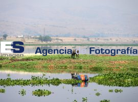 Camino La Panga - ES imagen agencia de fotografía