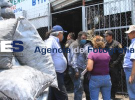 Decomisa Profepa 25 toneladas de carbón - ES imagen agencia de fotografía
