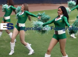 Pericos de Puebla Vs Guerreros de Oaxaca - ES imagen agencia de fotografía