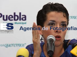 Anuncian Programa de Reforestación Municipal - ES imagen agencia de fotografía