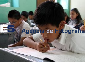 Pueba Enlace - ES imagen agencia de fotografía