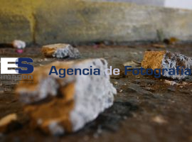 apedrean oficinas pan estatal - ES imagen agencia de fotografía